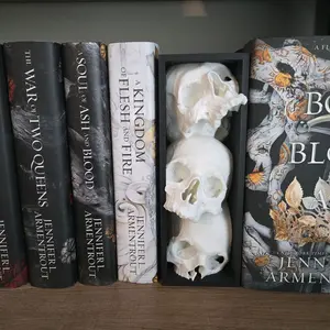 Skull Bookend Book Nook Space Filler Oversized Gothic Fantasy Romantasy