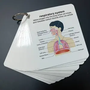 "Human Body System Anatomy Flashcards Set, Portable Healthcare Accessories with Rings, Medical & Nursing Learning Guide for Students, Square Multifunctional Office Stationery"