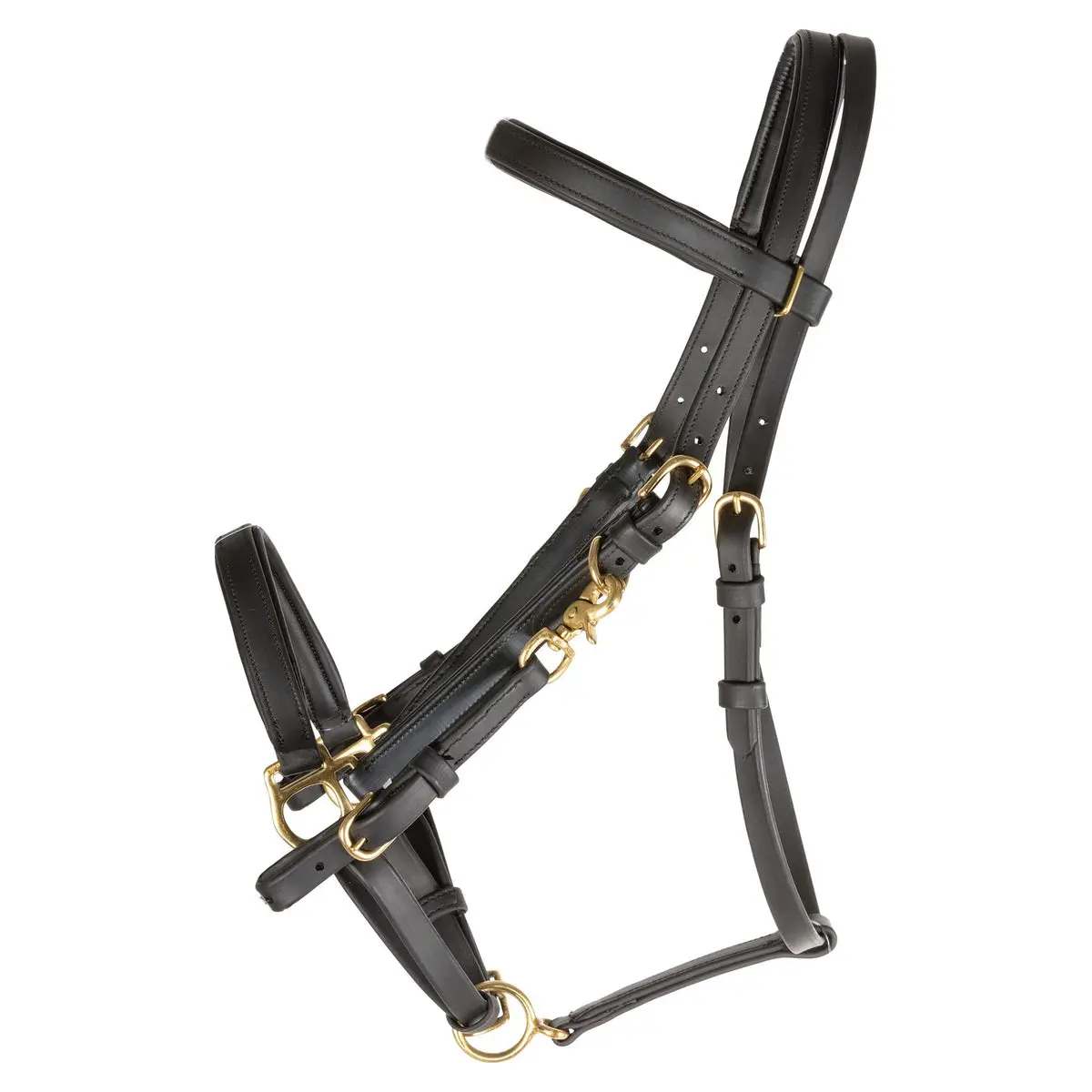 Convertible Horse Trail Halter-Bridle Combo, Padded All-Weather PVC Biothane, Solid Brass Rust-Free Hardware, Adjustable Fit, Easy-To-Clean, Long-Lasting Durability, 43152 BK, Promotes Safety and Confidence
