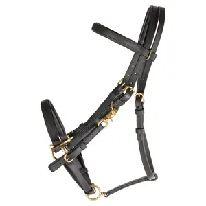 Dura-Tech All Weather Trail Halter and Bridle Combo