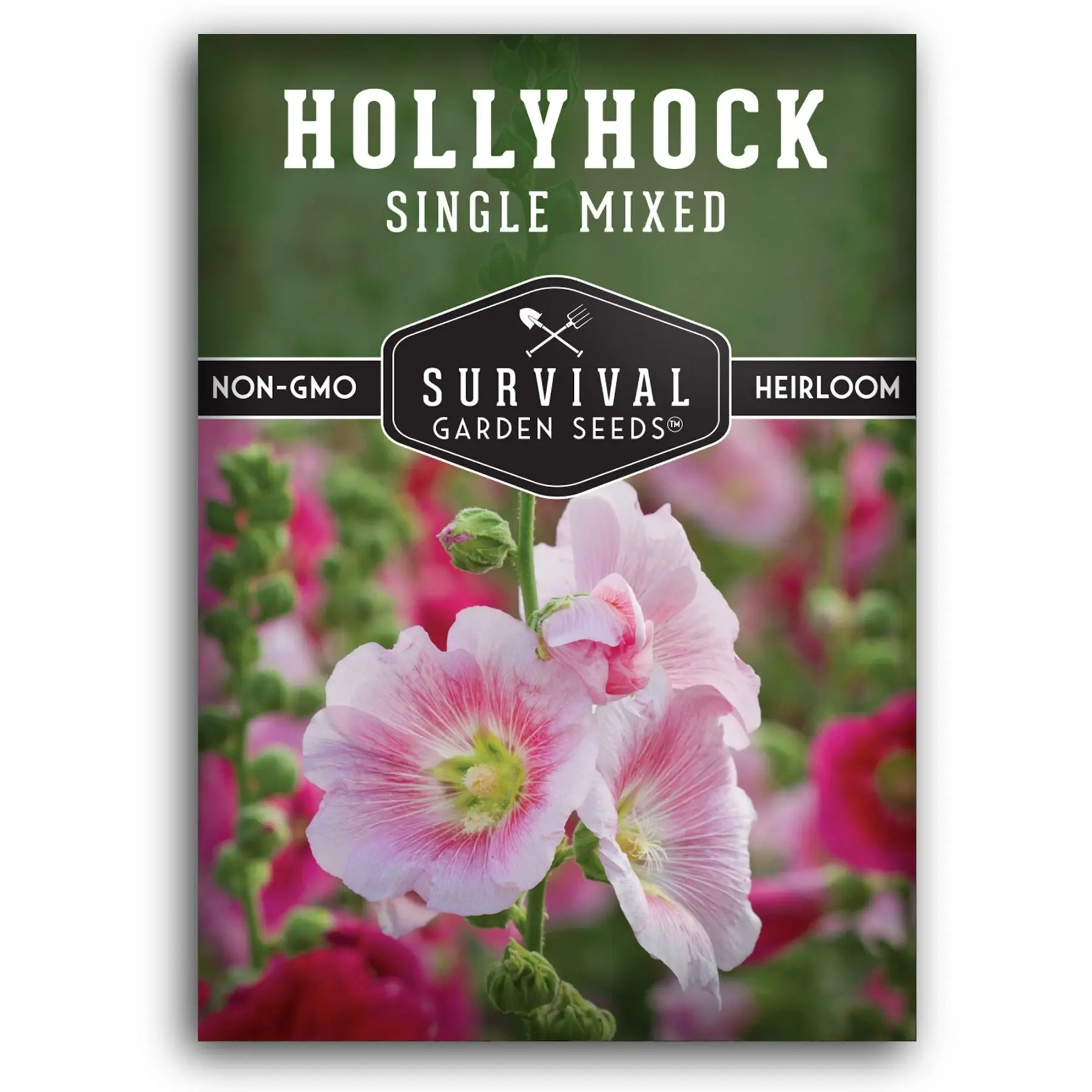 Single Mixed Hollyhock Seeds
