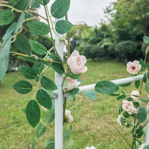 Adjustable White Metal Garden Arch Trellis – Arbor for Climbing Plants and Outdoor Decor