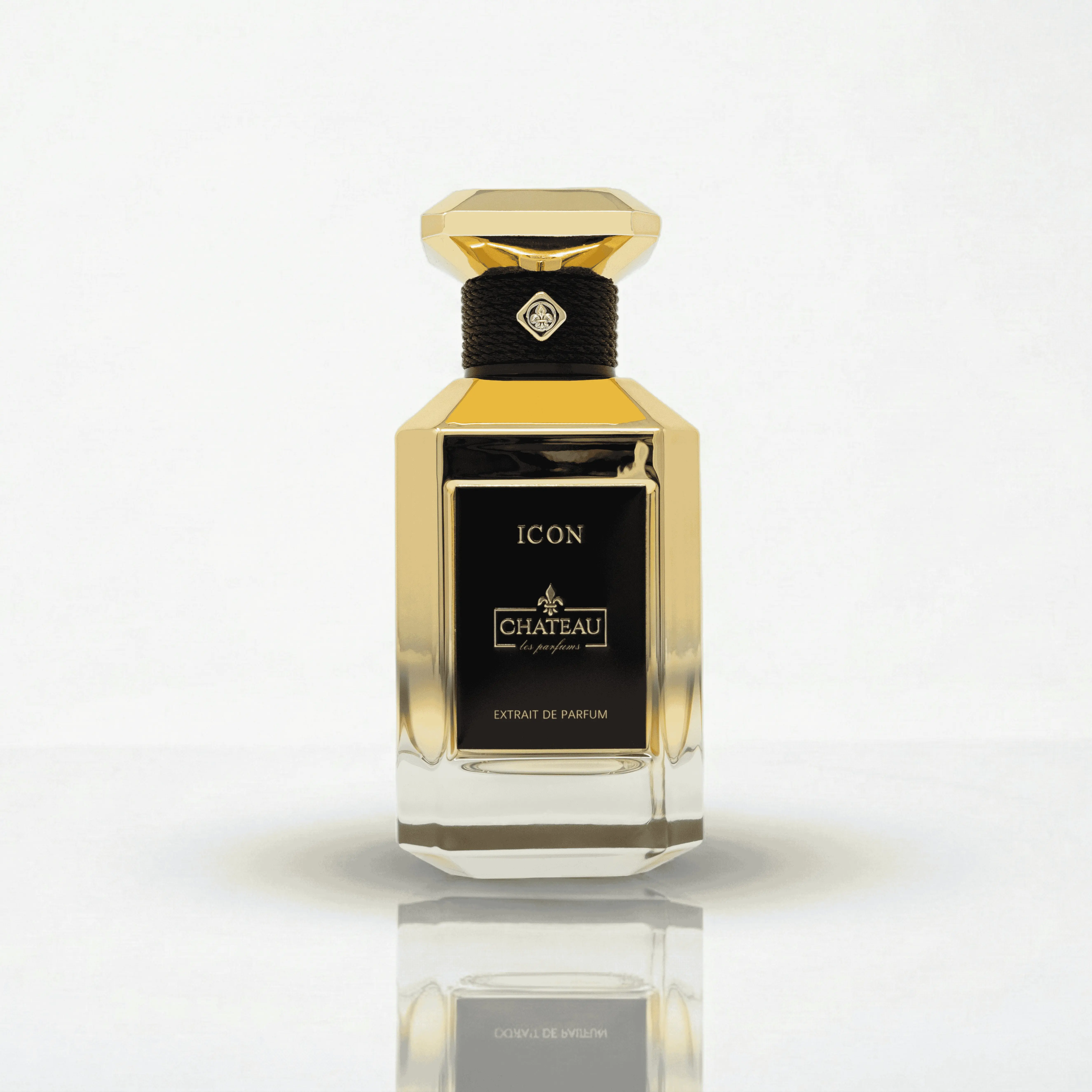 Chateau Les Parfums Icon Extrait De Parfum 3.4 oz