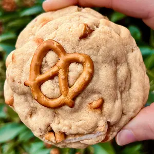 Toffee Pretzel Crunch