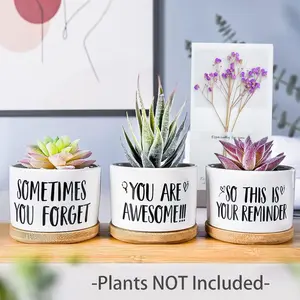 3Pcs Succulent Vase Set Housewarming Gift for Women Friends, Vase with Drain Hole, Decorative Flower Pot for Home Office Desk, Home Decor, Ornaments