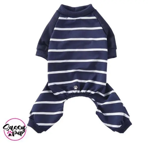 Sassy Pup Striped Blue Pajamas For Small Dogs