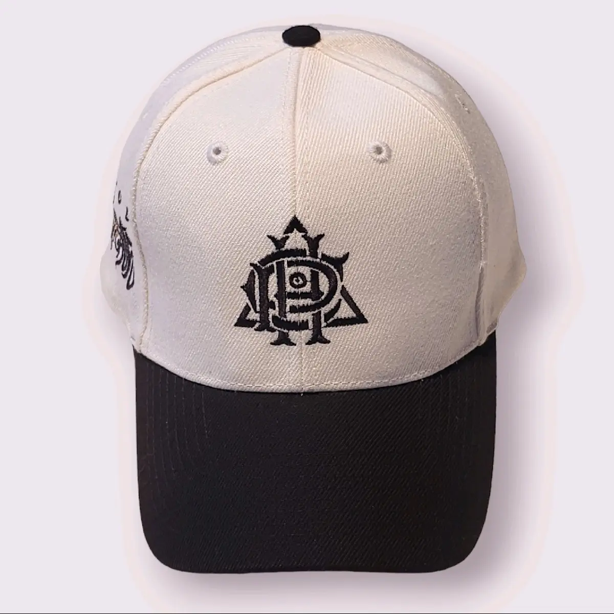 HPC SNAPBACK HAT