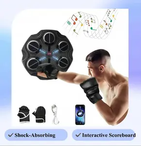 Kids Electronic Music Boxing Game, Wall-Mounted LED Punching Target with Adjustable Speed & Volume, Interactive Fitness Toy for Home