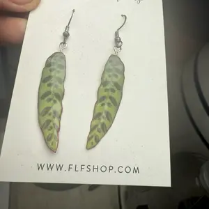 Goeppertia ingignis “rattlesnake” plant earrings