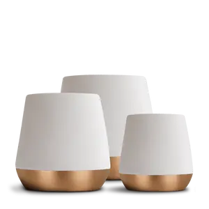 Fellow Joey Double Wall Ceramic Coffee Mug - Refined and Sophisticated Espresso Cups