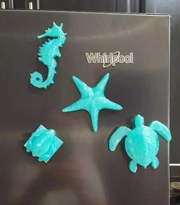 Refrigerator or Mailbox Beach Magnets Set of 4 Translucent Green - Assortment