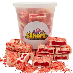 Eshopx LARGE Freeze Dried lce Cream | Crunch Strawberry Shortcake lce Cream Bites - Chocolate Eclair lce Cream Bites - Perfect for Camping, Outdoor, and Party - Air-tight Sealed in a Deli Container