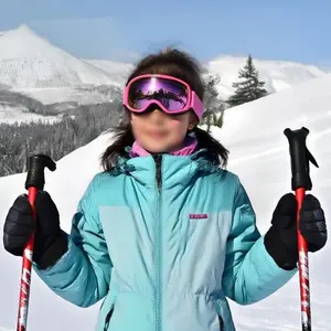 Skiing Goggles, Anti-Fog Color-Changing Full Frame Glasses, Kids Snowboarding Eyewear, Tpu Material, No Ca Prop 65 Warning