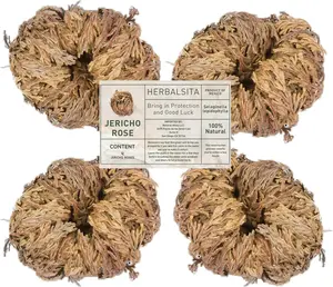 Rosa de Jericó (planta de resurrección) - Paquete de 4 rosas grandes de alta calidad, símbolo de prosperidad y abundancia, ideal para decoración del hogar y curación espiritual