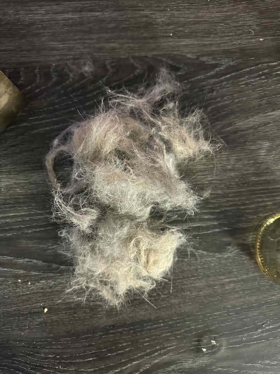 Item: Steam Cleaner 01-Light Grey