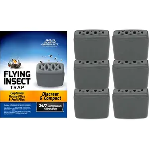 Flying Insect Trap, Discreet, Trap Attracts, Captures and Kills House Flies and Fruit Flies, 24/7 Continuous Attraction, No Plug-in Or Electricity Needed, 6 Count