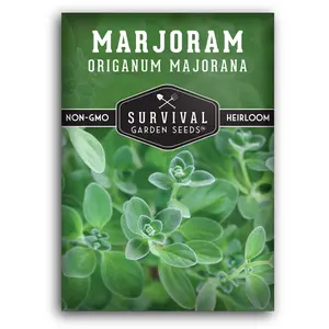 Marjoram Seeds - Essential Aromatic Herb for Cooking