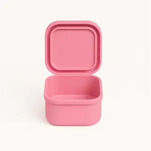 Dreamroo Mini Square Container Kitchen Food Storage Container