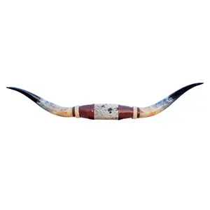 Genuine Mounted Polished Steer Horns - 3.5’ Long
