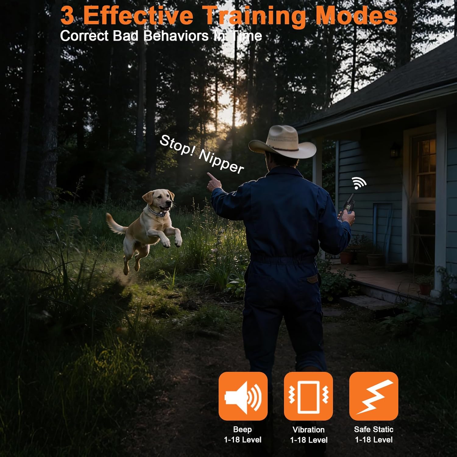 Dog Training Collar with Remote 800M Range, Beep Vibration Safe Shock Waterproof Rechargeable