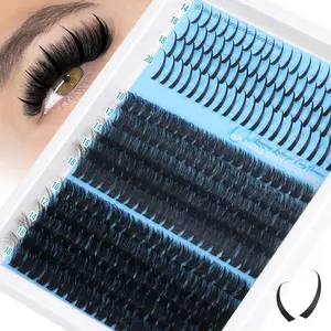False Eyelashes, 1 Box Mixed Length & Styles Individual False Eyelashes, D Curl Eyelashes, Eye Makeup Enhancement Tool for Women & Girls, Cosmetic