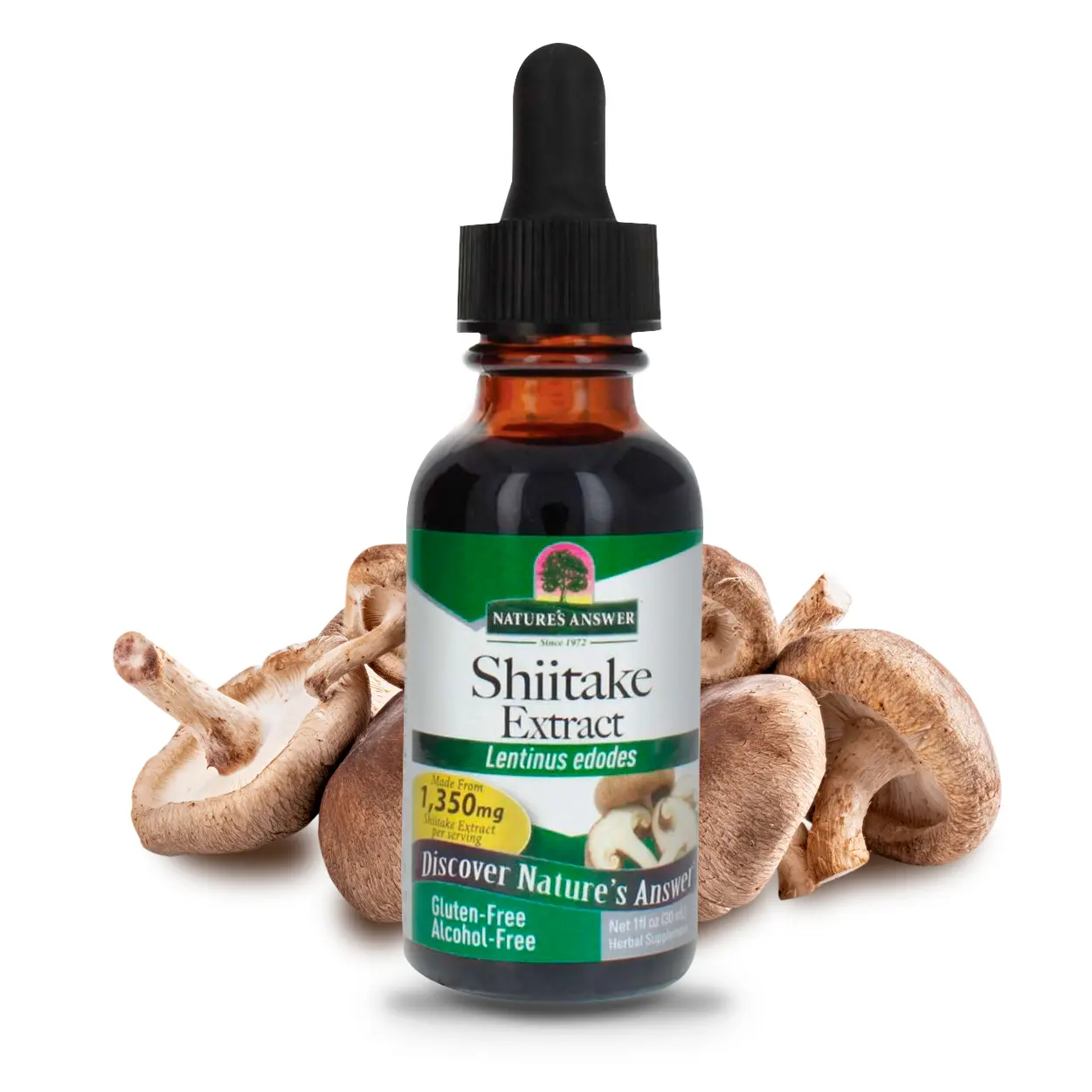 Nature's Answer Shiitake Mushroom Extract Alcohol Free 1 Fluid Ounce | Supports Health and Wellness | Gluten-Free | Non-GMO | Single Count