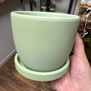 Egg Planter 4”