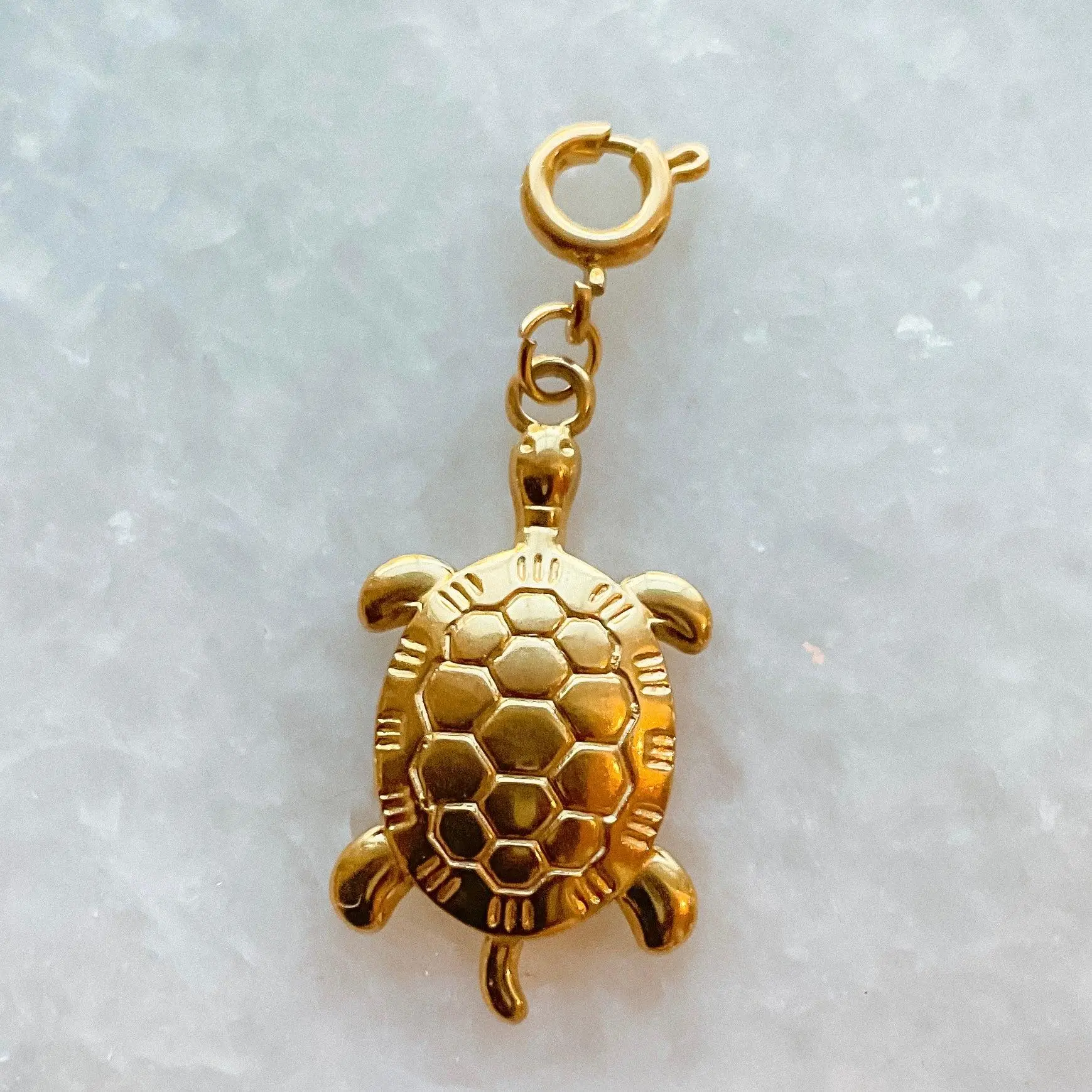 Turtle Charm