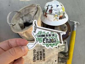 Cashing in on the Chaos | Broke Pole | Lineman Hardhat Sticker | Blue Collar