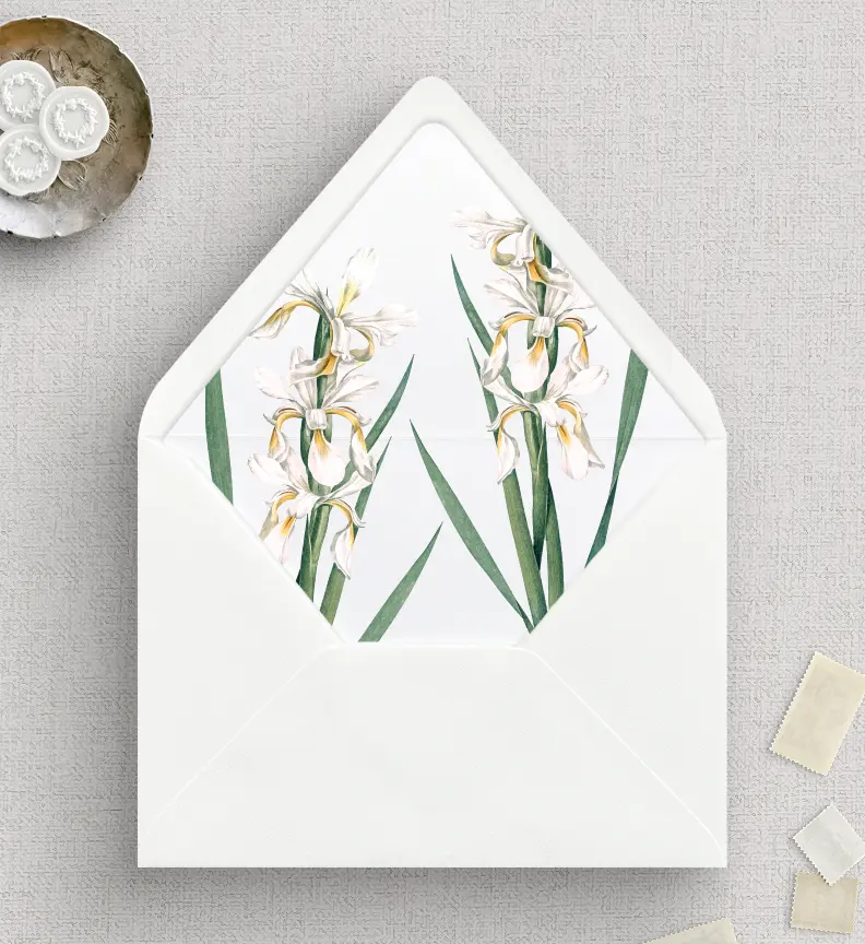 Envelope Liners | Iris