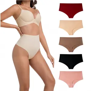 SNUG HAVEN Women's solid color 5-pack, seamless V-shaped waistband panties, breathable and comfortable seamless underwear, suitable for everyday wear.