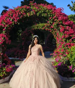 NO.15 Quinceanera Ball Gown Dress Split Skirt Tulle Fabric Mexican Sweet 15 Formal Party Dress for Special Occasions