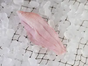 Superior Catfish - 5-7 oz Catfish Fillets - 15 lb Box