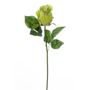 20" French Rose Bud Stem Green