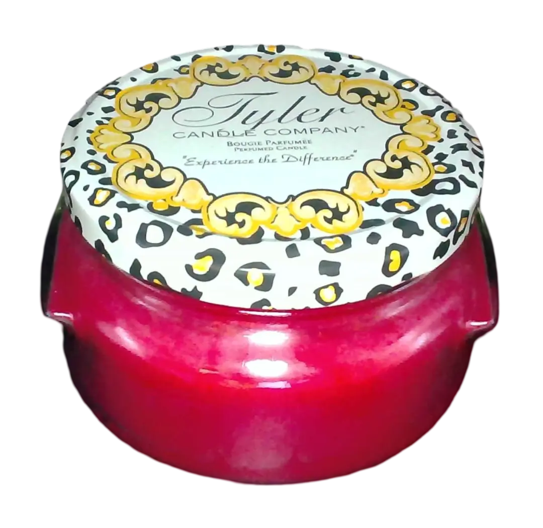 Tyler Candle Company 11oz Artisan Fragrance Jar Candle - Hand-Poured 2-Wick Paraffin Wax, Indoor Christmas Blend, Citrus-Fruity-Ginger Notes, 50-65 hrs Long-Lasting, Includes Matches, Home Decor, Gift Option