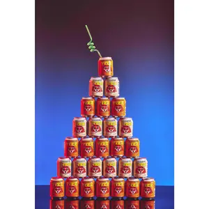 VARIETY PACK TIZZ 12 PACK