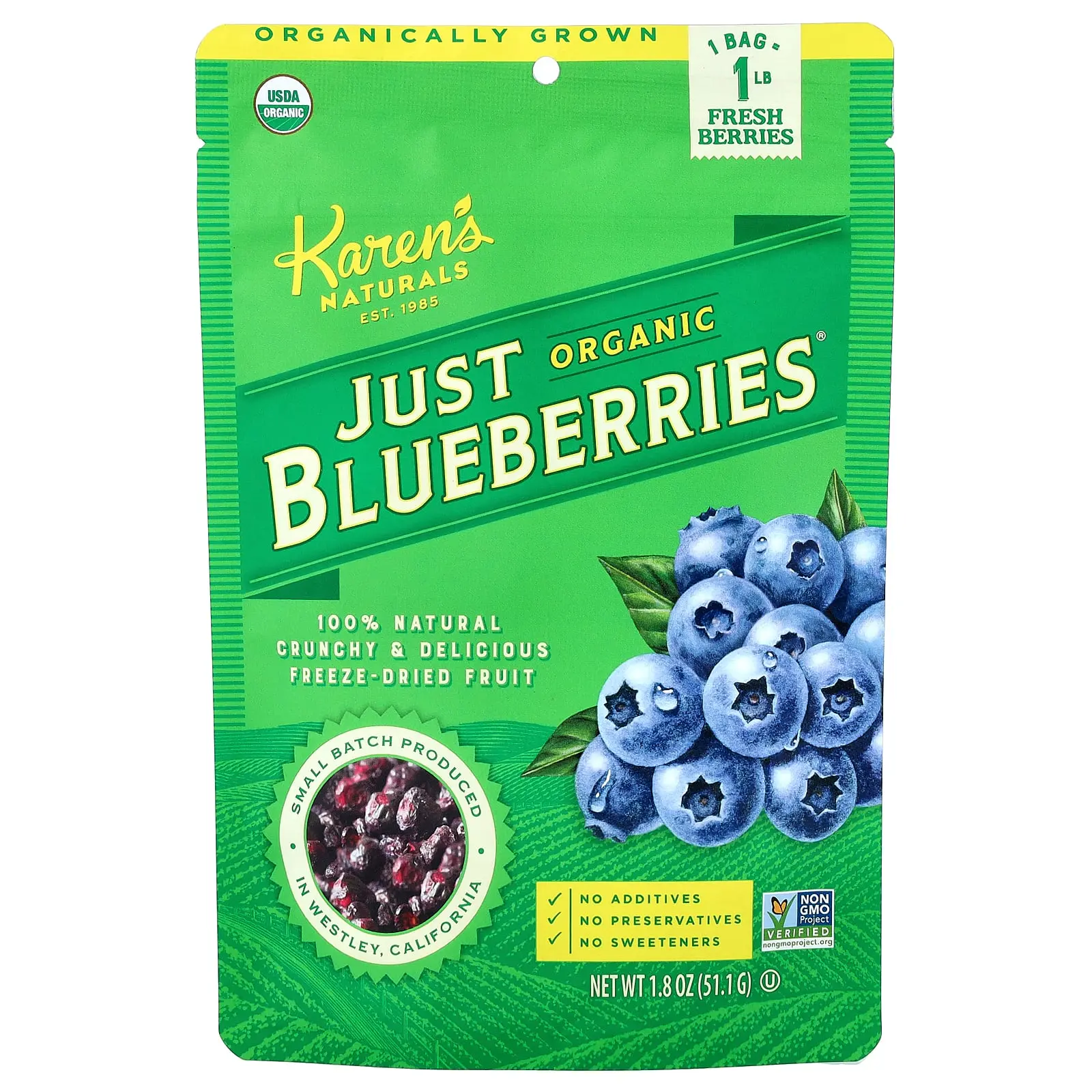 Karen's Naturals Organic Just Blueberries®, 1.8 oz (51.1 g)