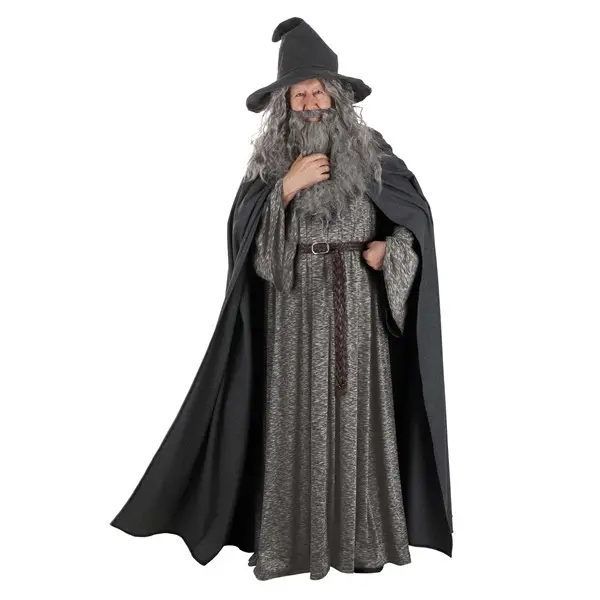 Plus Size Gandalf Lord of the Rings Costume for Men