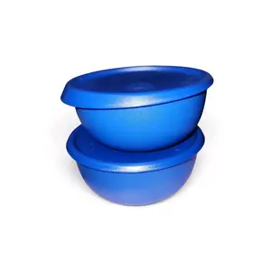 Duo Blosson bowls 560ml each