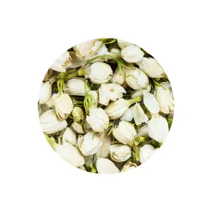 Jasmine Flowers