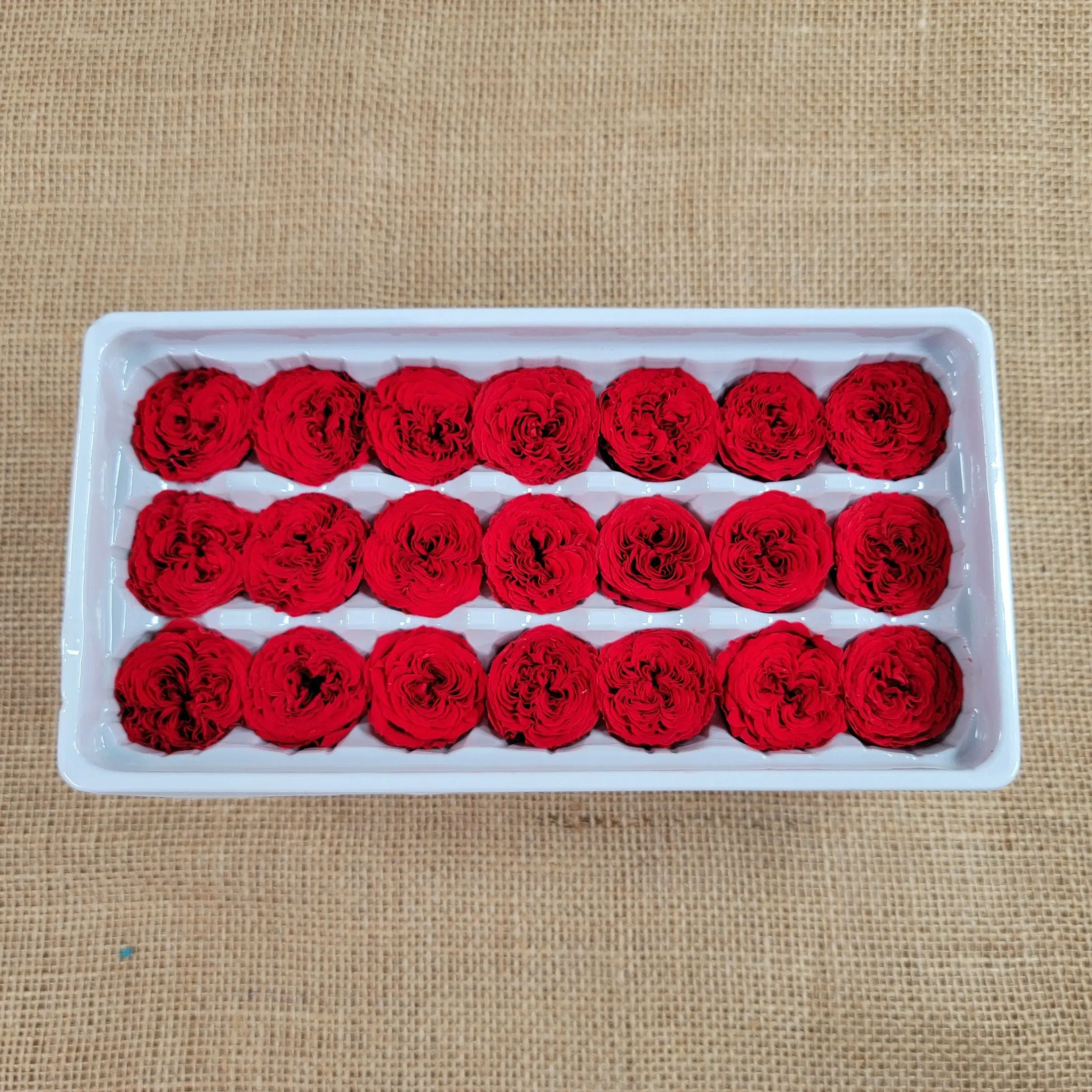 21 Preserved Roses Red, Dried Flower / Prom, Mother's Day, Wedding Decor, Red Roses For Bouquet, Vase, Home Decor & DIY Floral Arrangements