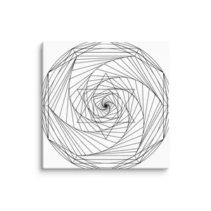 Spiral Merkaba Canvas Print Wall Art