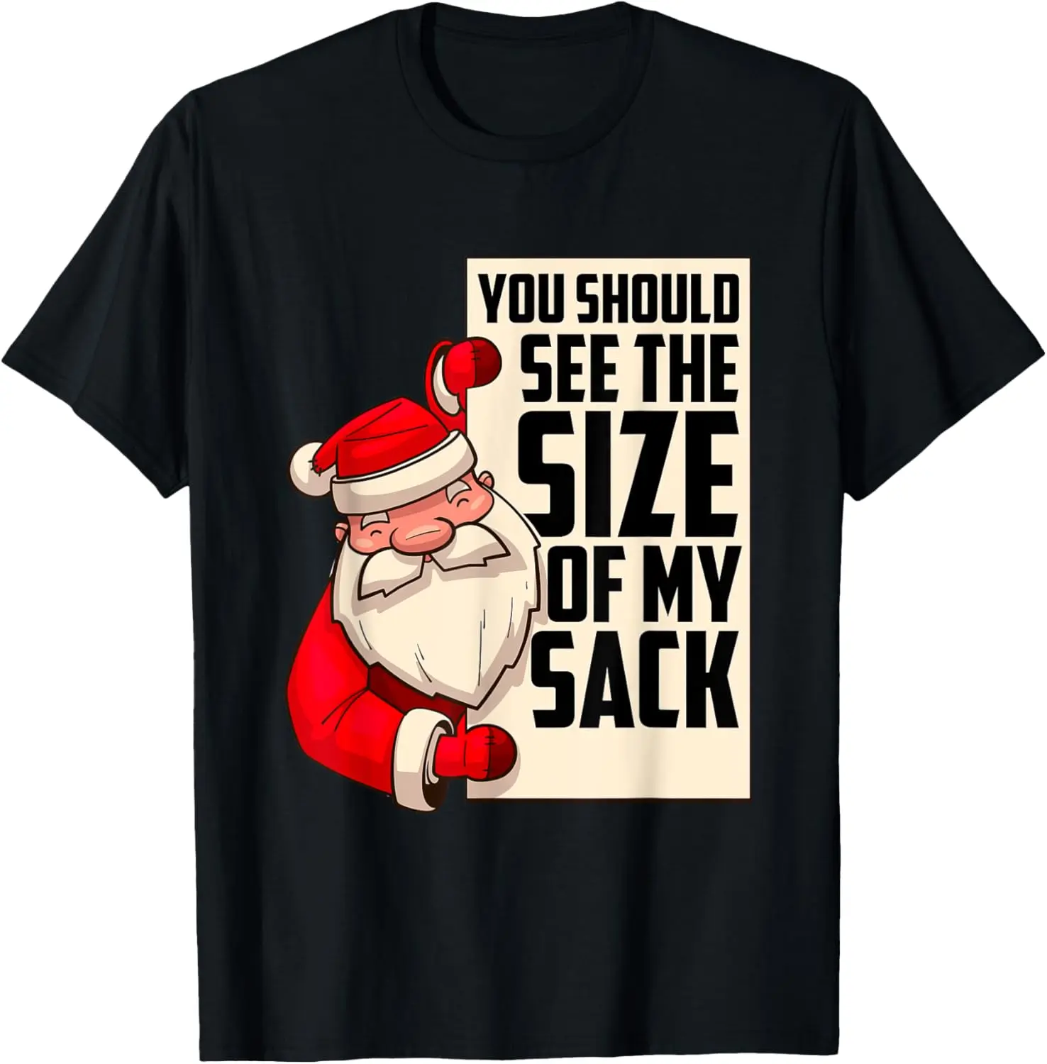 You Should See The Size Of My Sack Funny Santa Christmas T-Shirt Pure Cotton Graphic Tees Menswear Top: Gifts for Men & Women