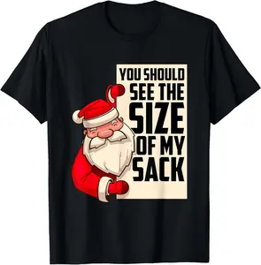 You Should See The Size Of My Sack Funny Santa Christmas T-Shirt Pure Cotton Graphic Tees Menswear Top: Gifts for Men & Women