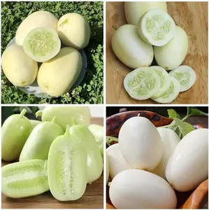 500pcs Cucumber Picklebush Fruit Seeds for Planting – Non-GMO Heirloom Delicious Cucumber Vegetable Seeds, Beginner-Friendly & Easy to Grow for Outdoor Garden, Pots, Beds & Yard