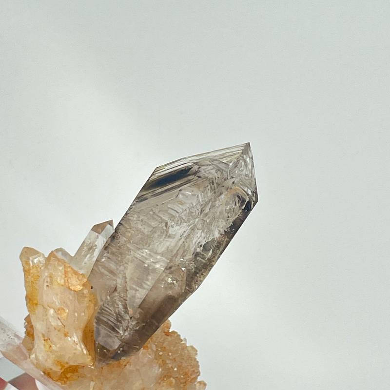 [Earth Archive] Namibian Backbone Smokey Quartz | Crescent Cast