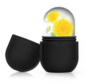 Ice Roller for Face and Eye, Ice Face Roller, Ice Roller Skin Care Tools Gifts for women,Silicone Ice Mold for Beauty(Black)