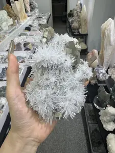 A16 hubei golden pyrite with needle quartz