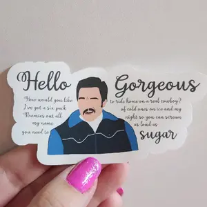Hello Gorgeous matte vinyl sticker