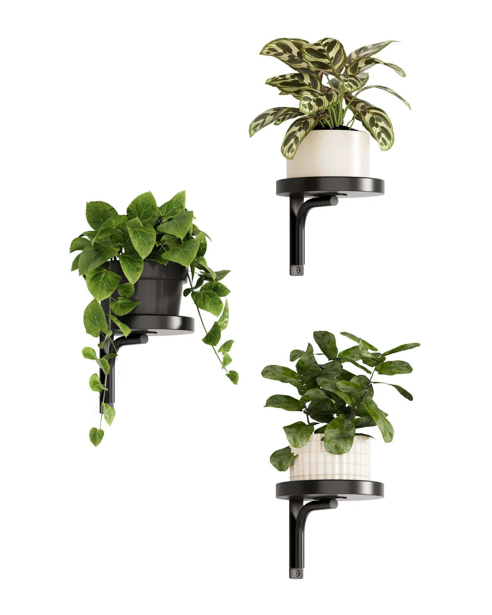 Bamworld 3 Pcs Wall Plant Holder Wall Mounted Plant Holder Hanging Planters for Indoor Plants Hanging Plant Holder Window Plant Shelves Decor Black